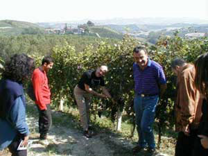 in giro per le vigne